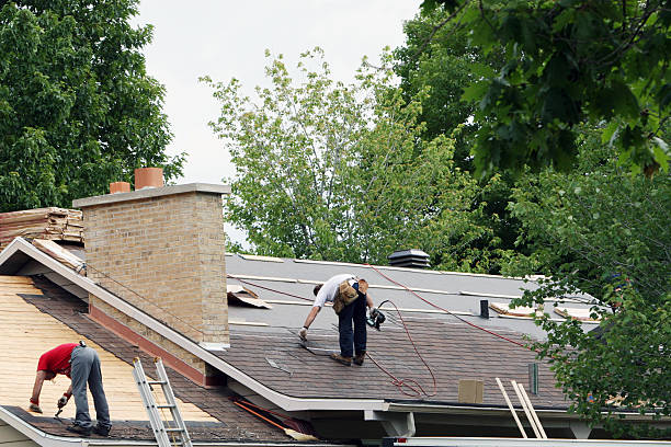 Best Roof Gutter Cleaning  in Daniels, WV