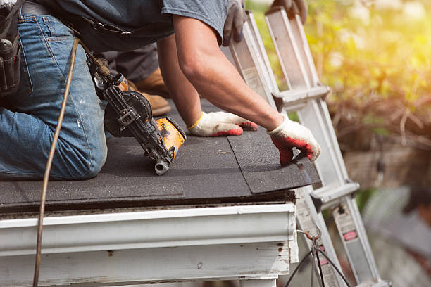 Best Roof Leak Repair  in Daniels, WV